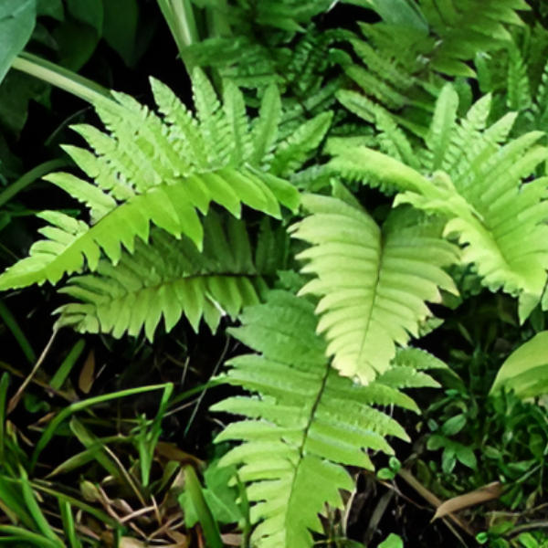 Многорядник защищённый